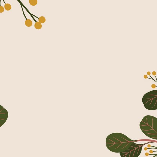 illustration. light pink background. there are two tree branches on each side, with rounded green leaves