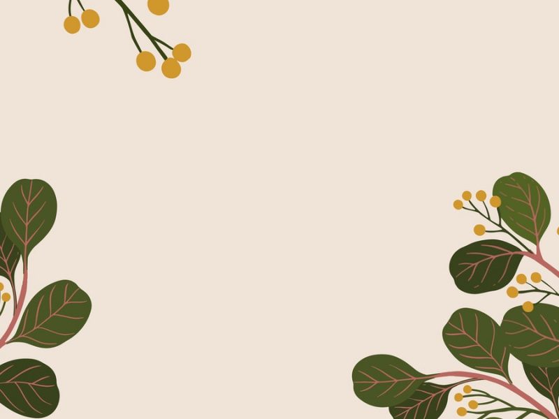 illustration. light pink background. there are two tree branches on each side, with rounded green leaves